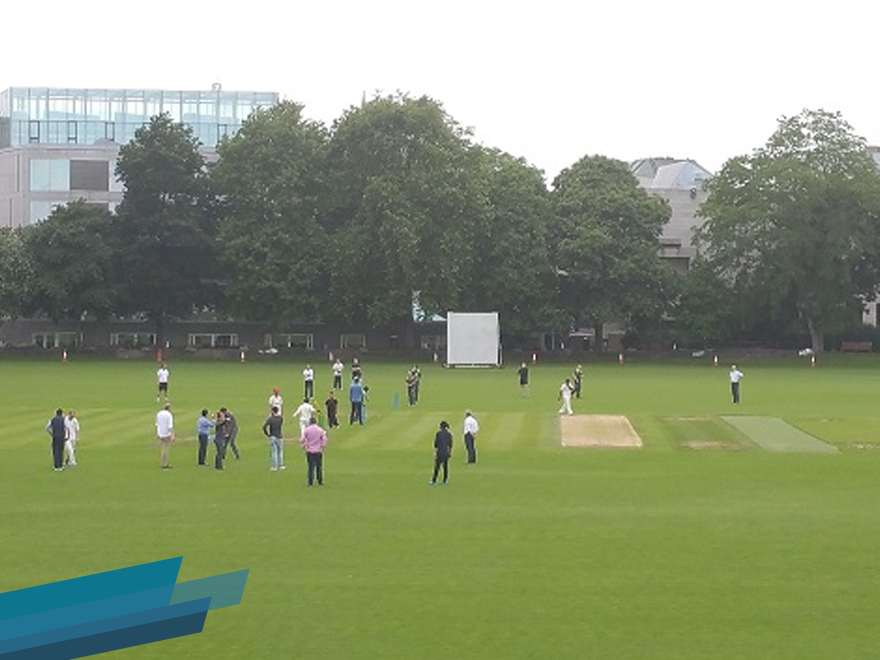 Read more about the article IIBA Summer Social Cricket Event